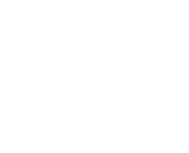 Buffalo Wild Wings (Inspire Brands) Logo
